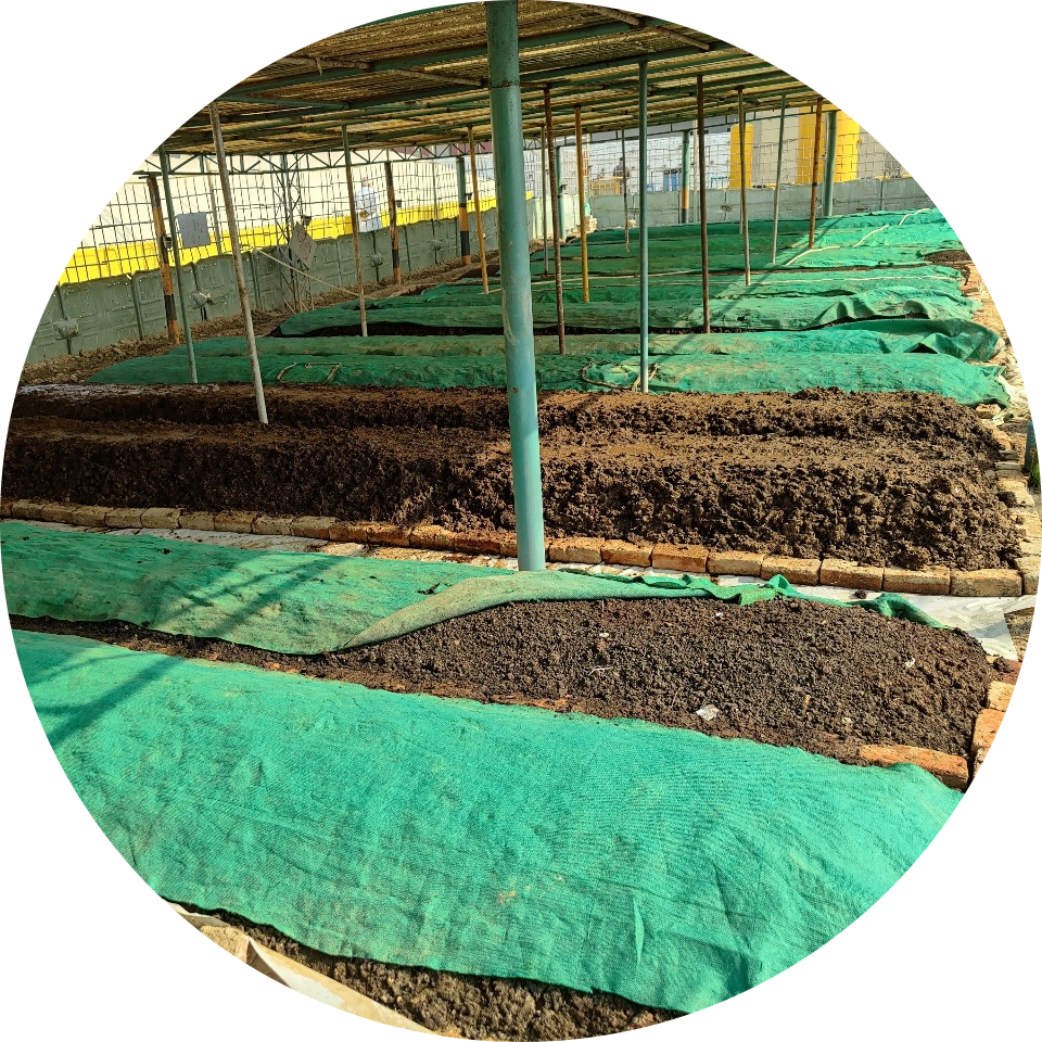 Vermicompost