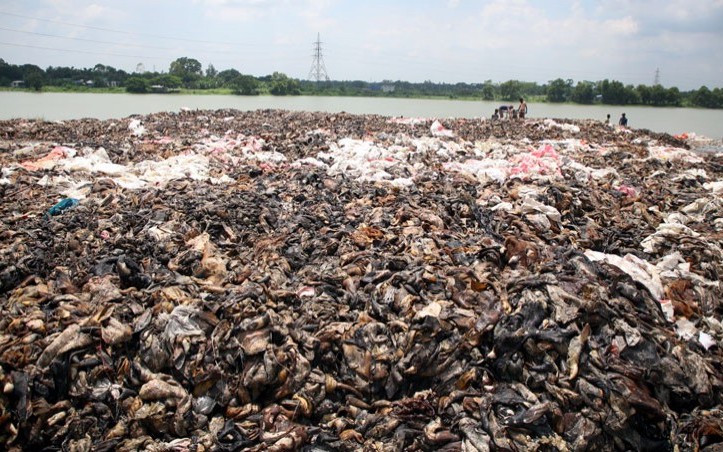 Tanneries Waste